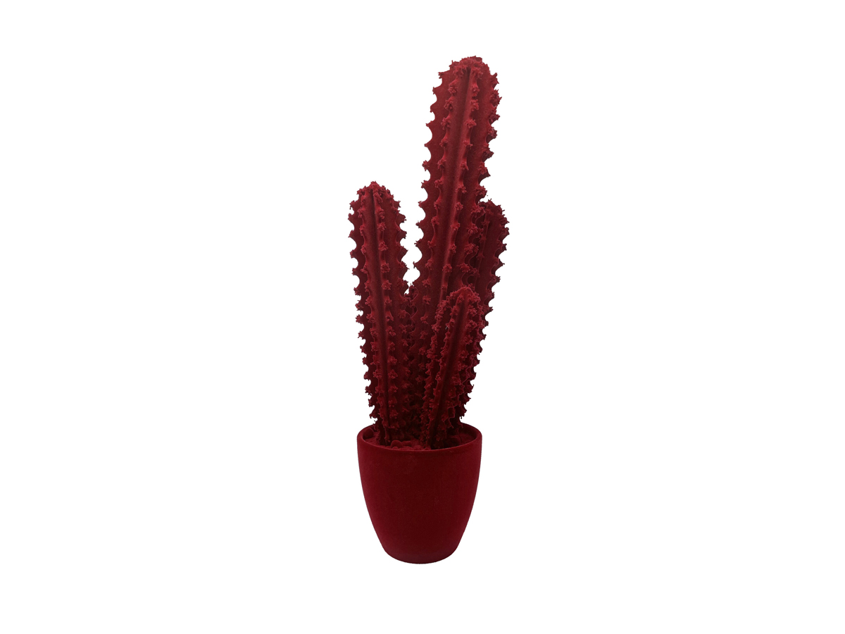 Скульптура Adriani e Rossi Prickly Cactus Velvet, декоративная