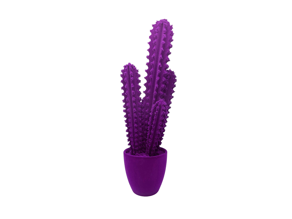 Скульптура Adriani e Rossi Prickly Cactus Velvet, декоративная