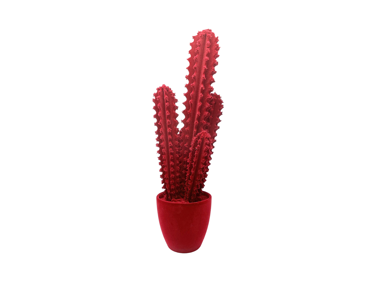 Скульптура Adriani e Rossi Prickly Cactus Velvet, декоративная