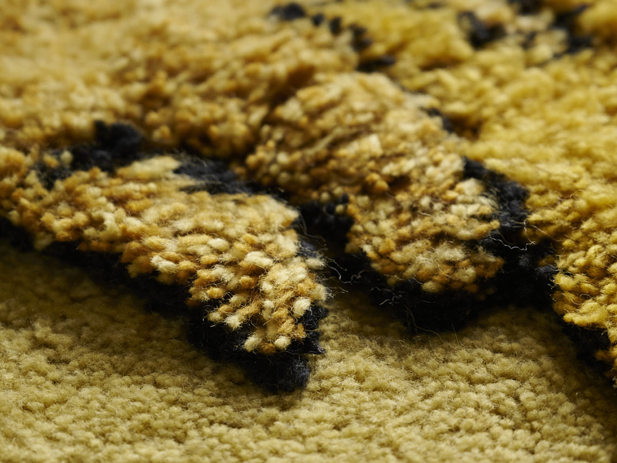 Amini Tapileo Rug