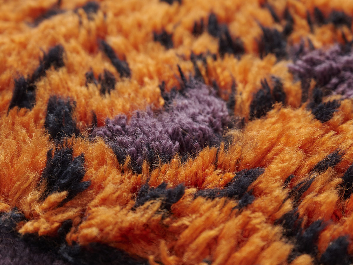 Amini Tapipardo Rug