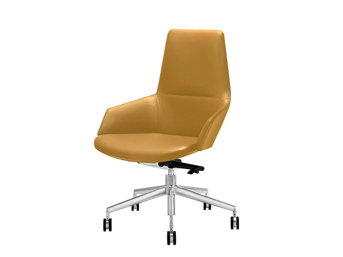 Arper Aston Chair