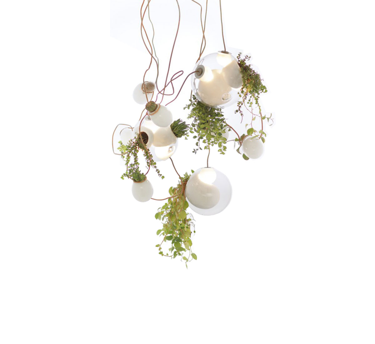 Bocci Serie 38 Lamp Collection