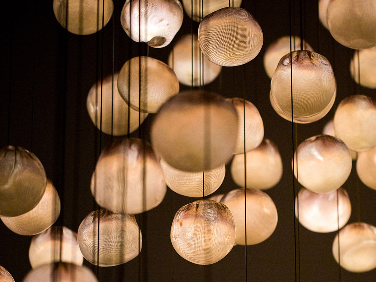 Bocci Serie 84 Suspension Lamp