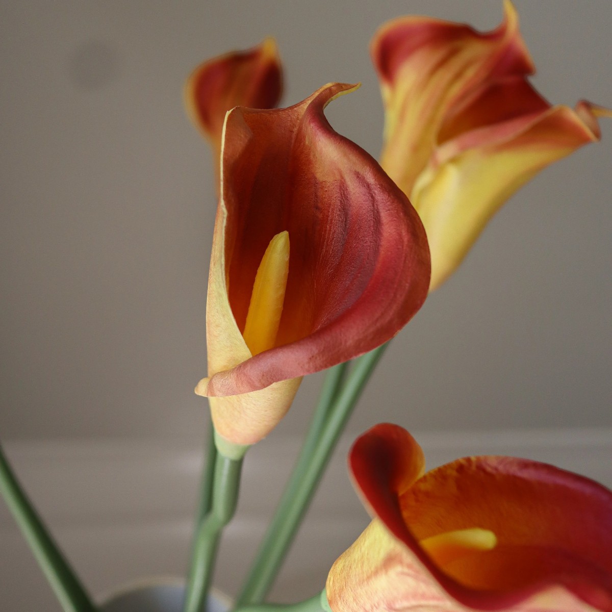 Букет Botané Orange Calla Lily