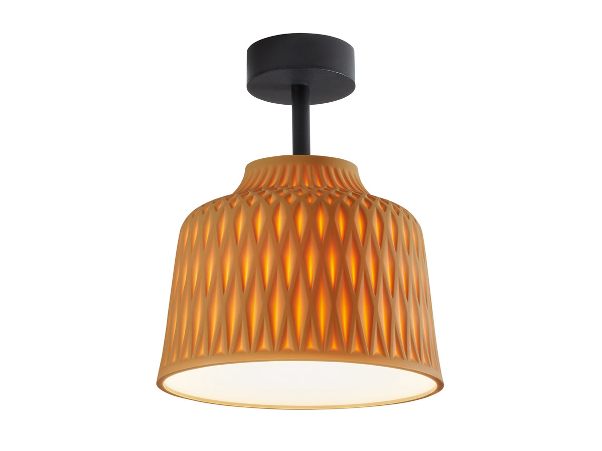 Потолочный светильник Bover Soft PF/30, для улицы