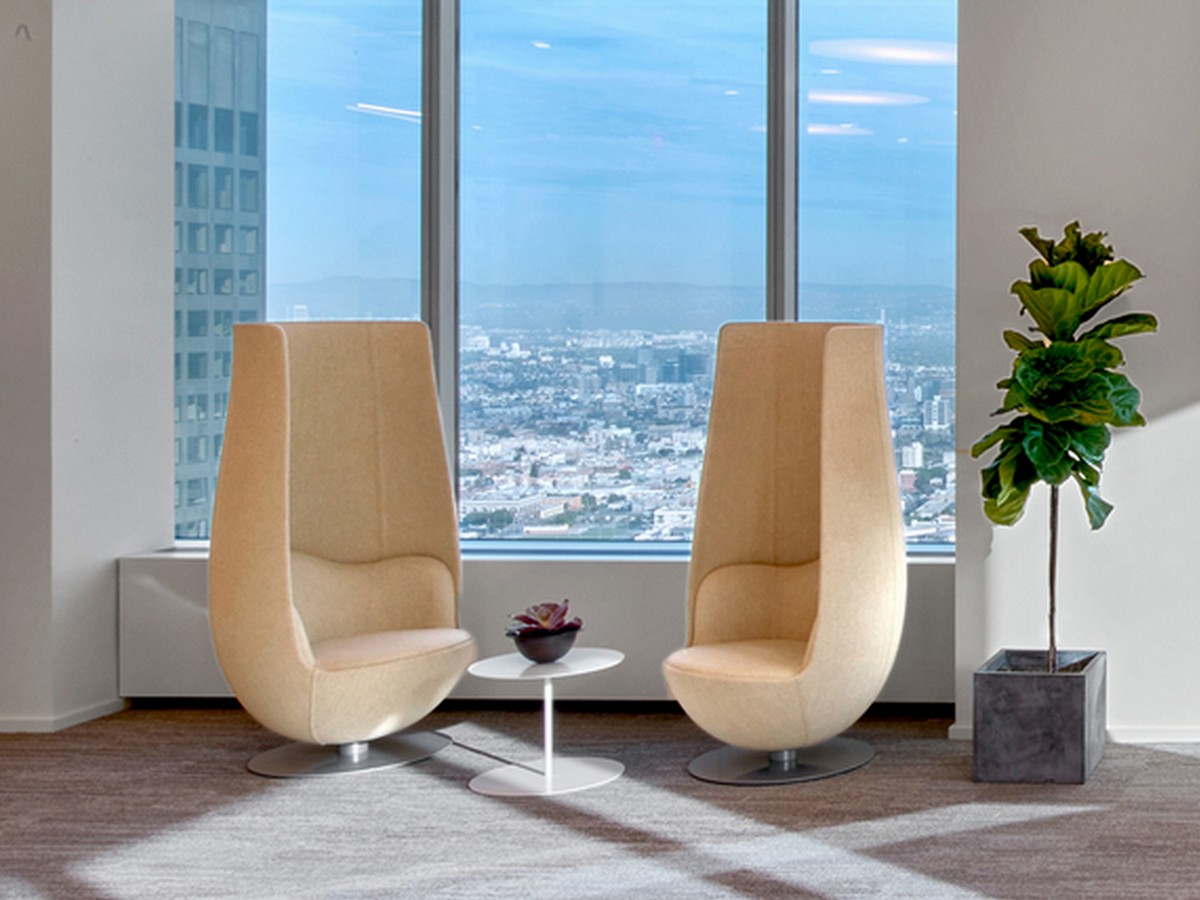 Cappellini Wanders Tulip Armchair