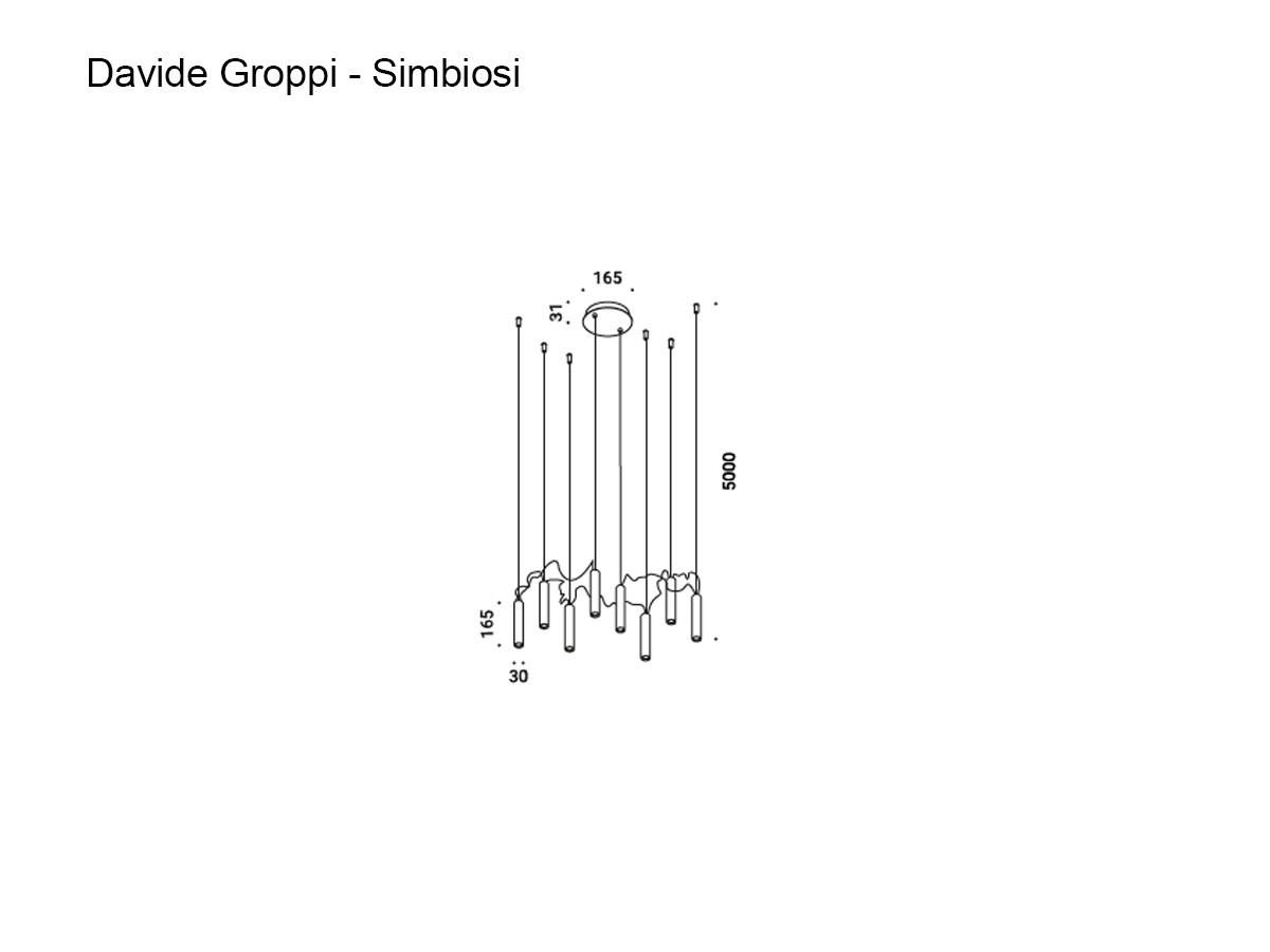 Davide Groppi Simbiosi Suspension Lamp Black 3000k