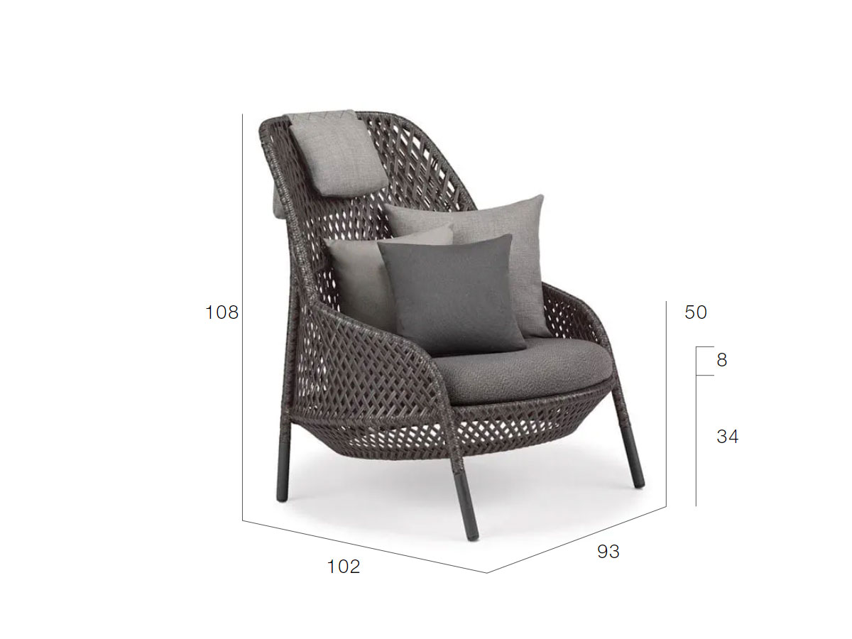 Dedon Ahnda Wing Armchair