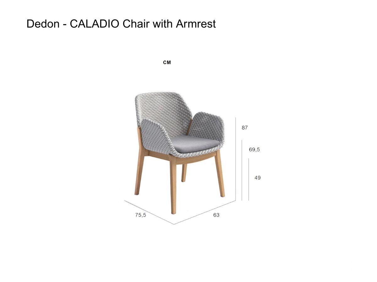 Dedon Caladio Chair With Armrests