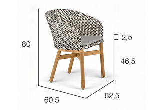 Dedon Mbrace Dining Armchair