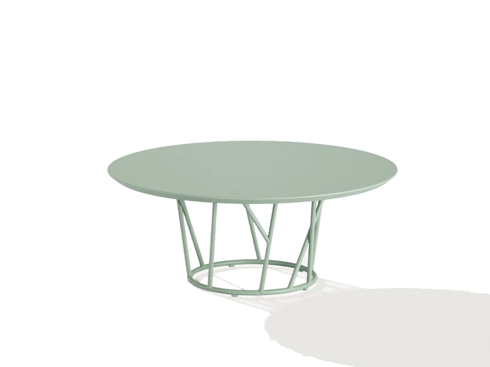 Fast Wild Coffee Table