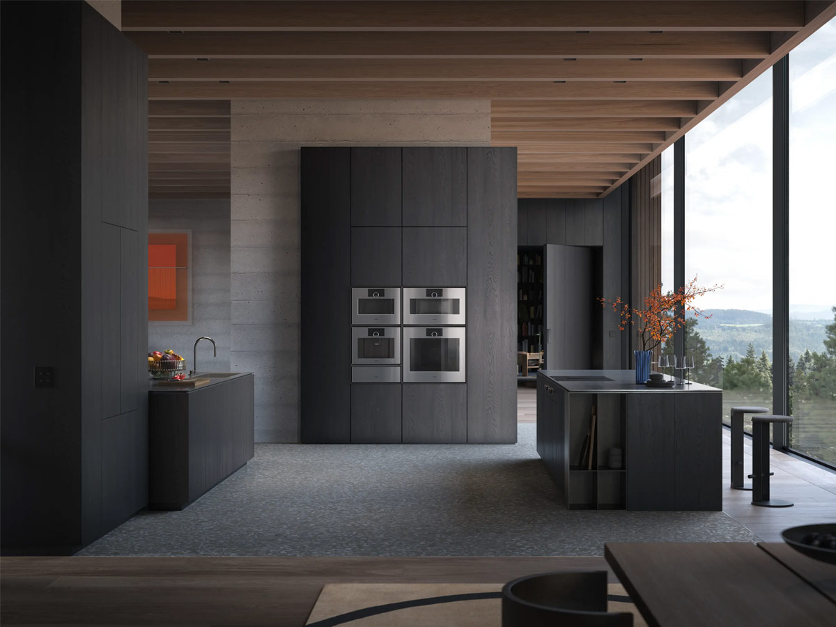 Gaggenau Expressive Microwave Combinated