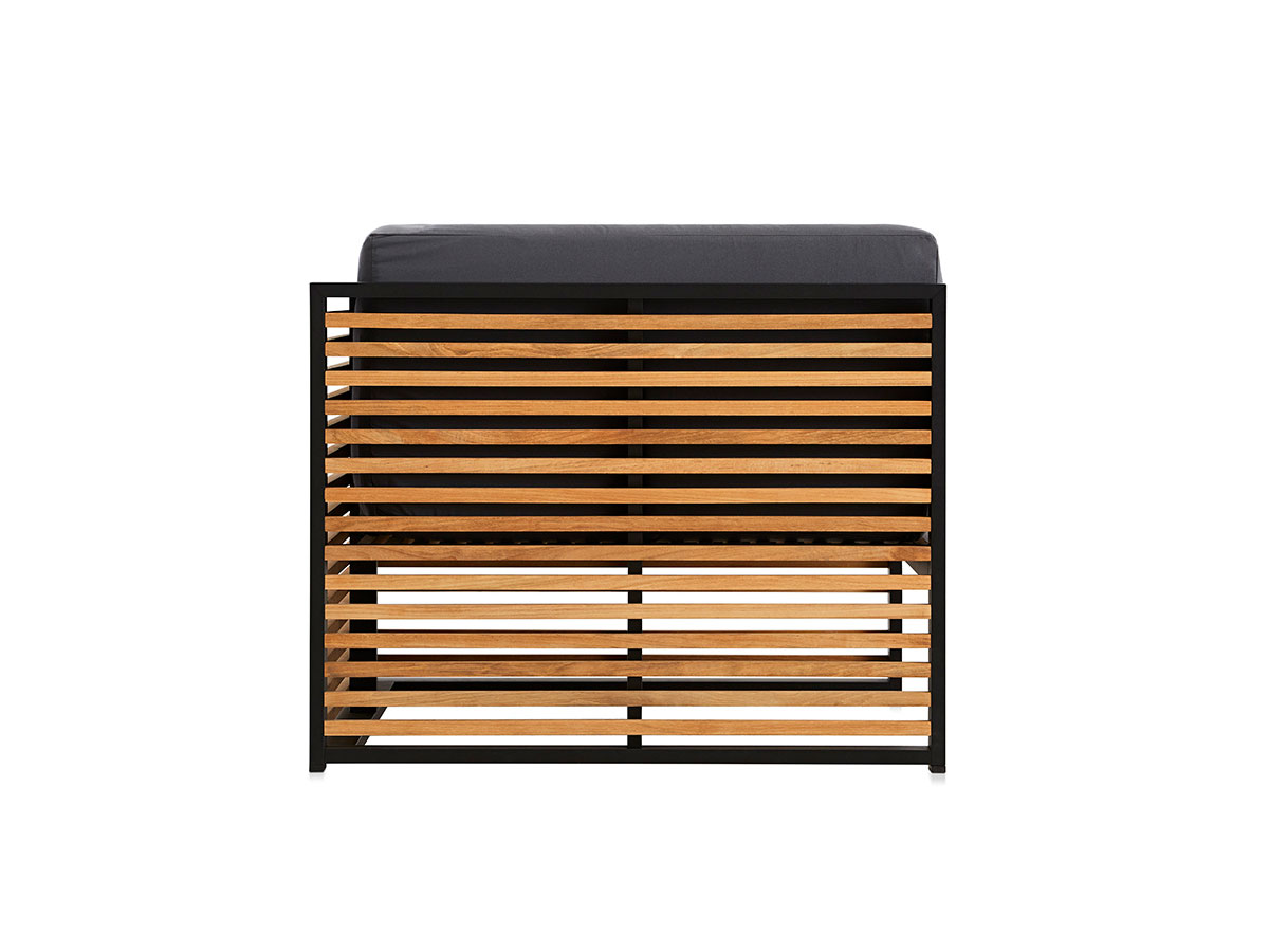 GandiaBlasco Dna Teak Lounge Chair