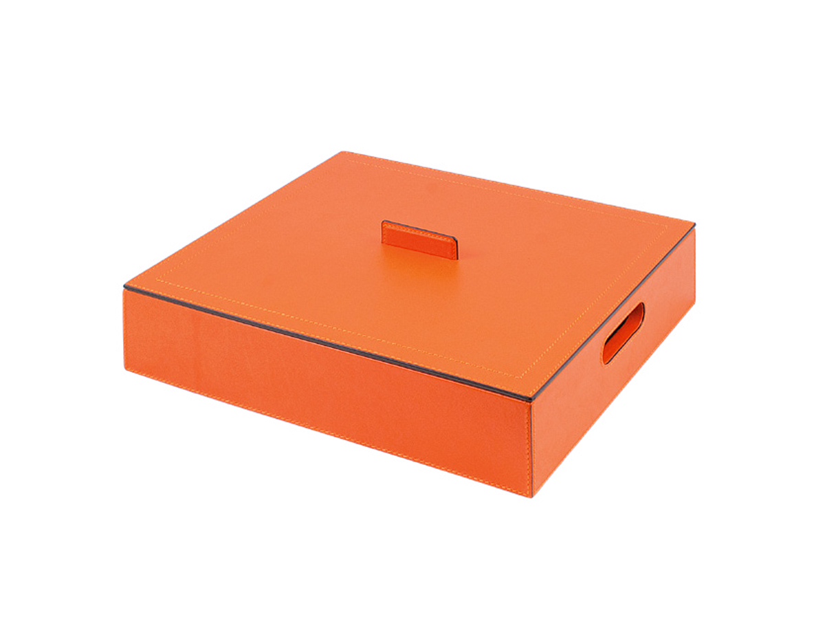 Giobagnara Billiard Case