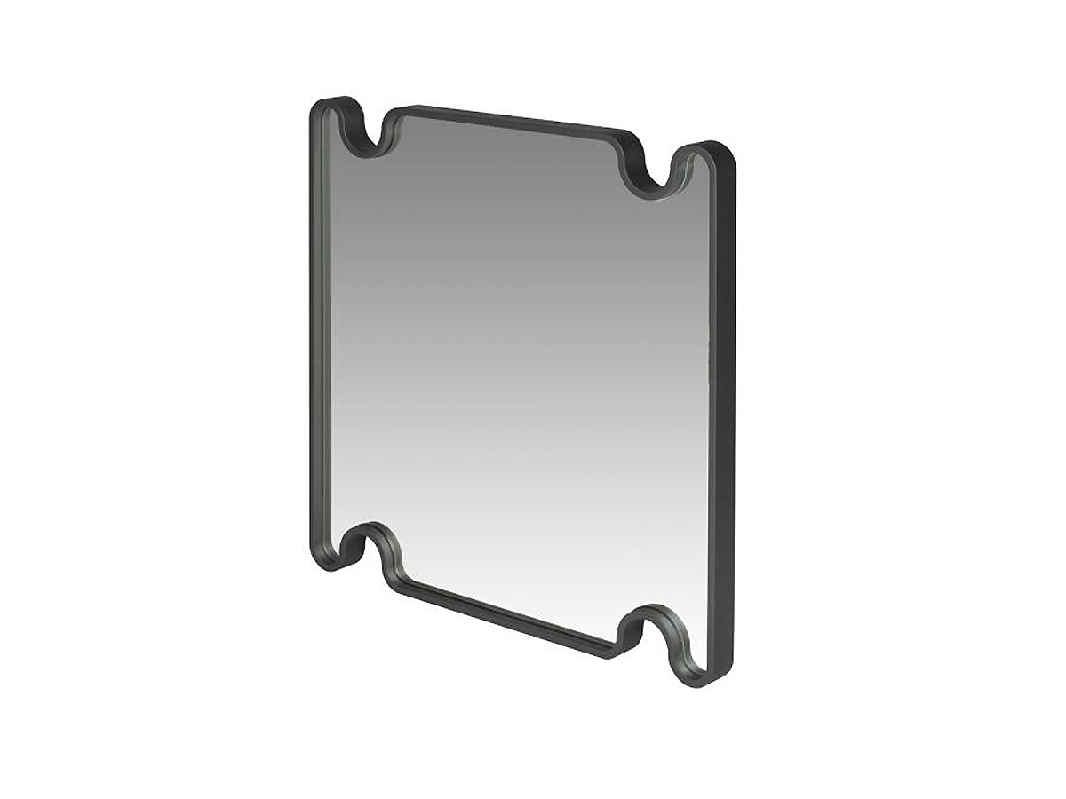 Giobagnara Ossicle Mirror