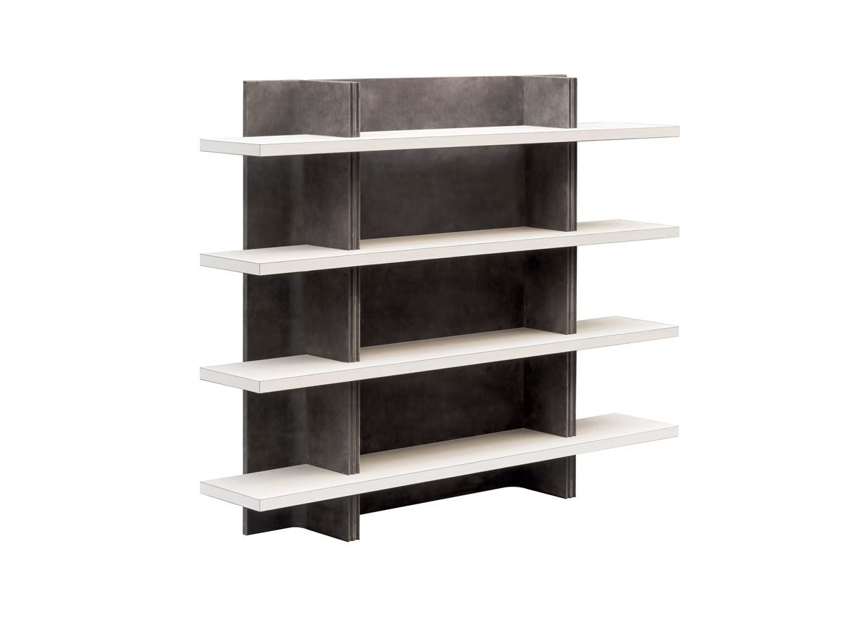 Giobagnara Vector Bookshelf