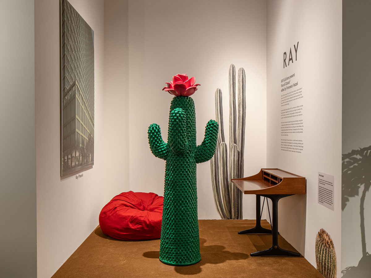 Gufram Fiore Di Cactusr Coat Hanger