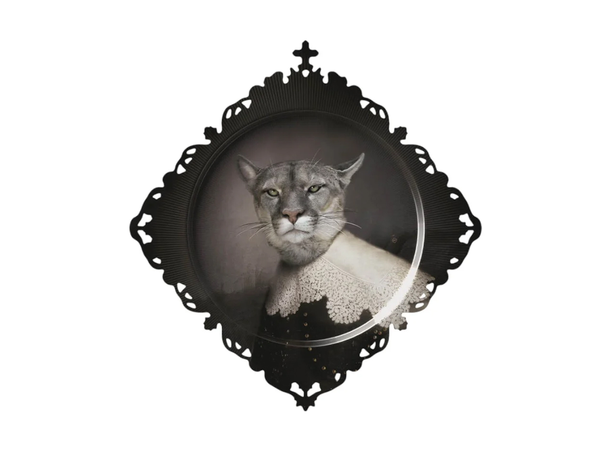 Поднос Ibride Medicis, M