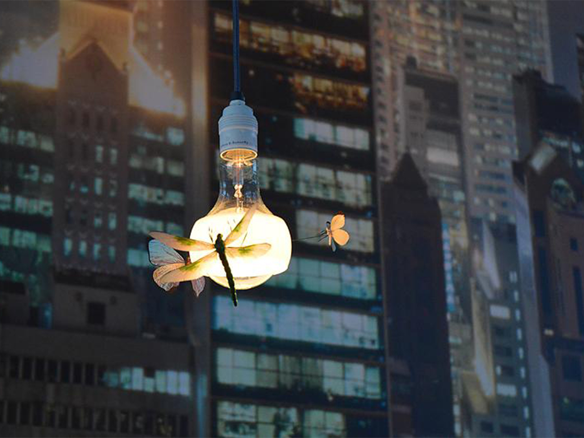 Ingo Maurer Johnny B Butterfly Pendant Lamp