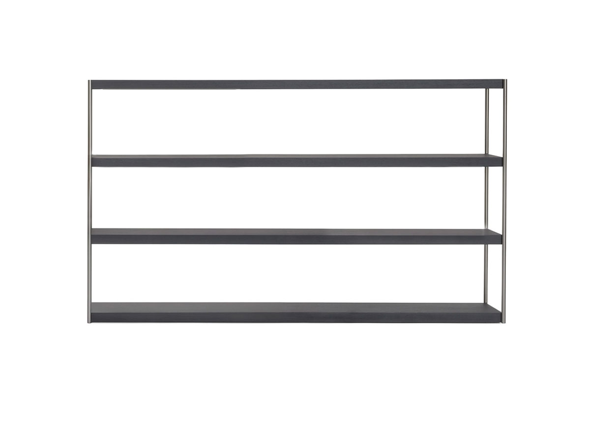 Kartell Wisewise Bookcase