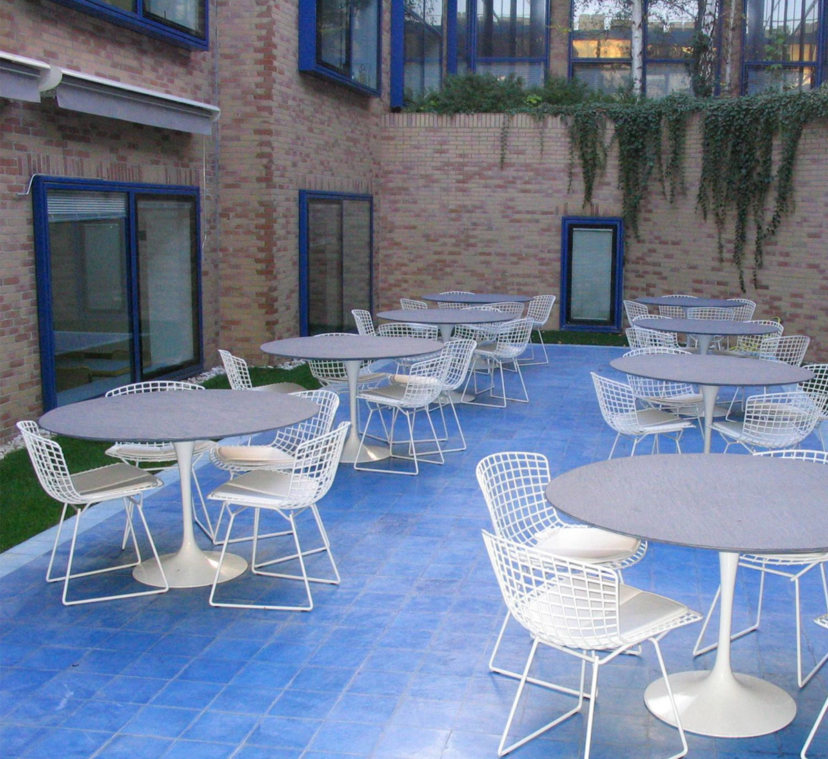 Knoll Bertoia Outdoor Side Chair
