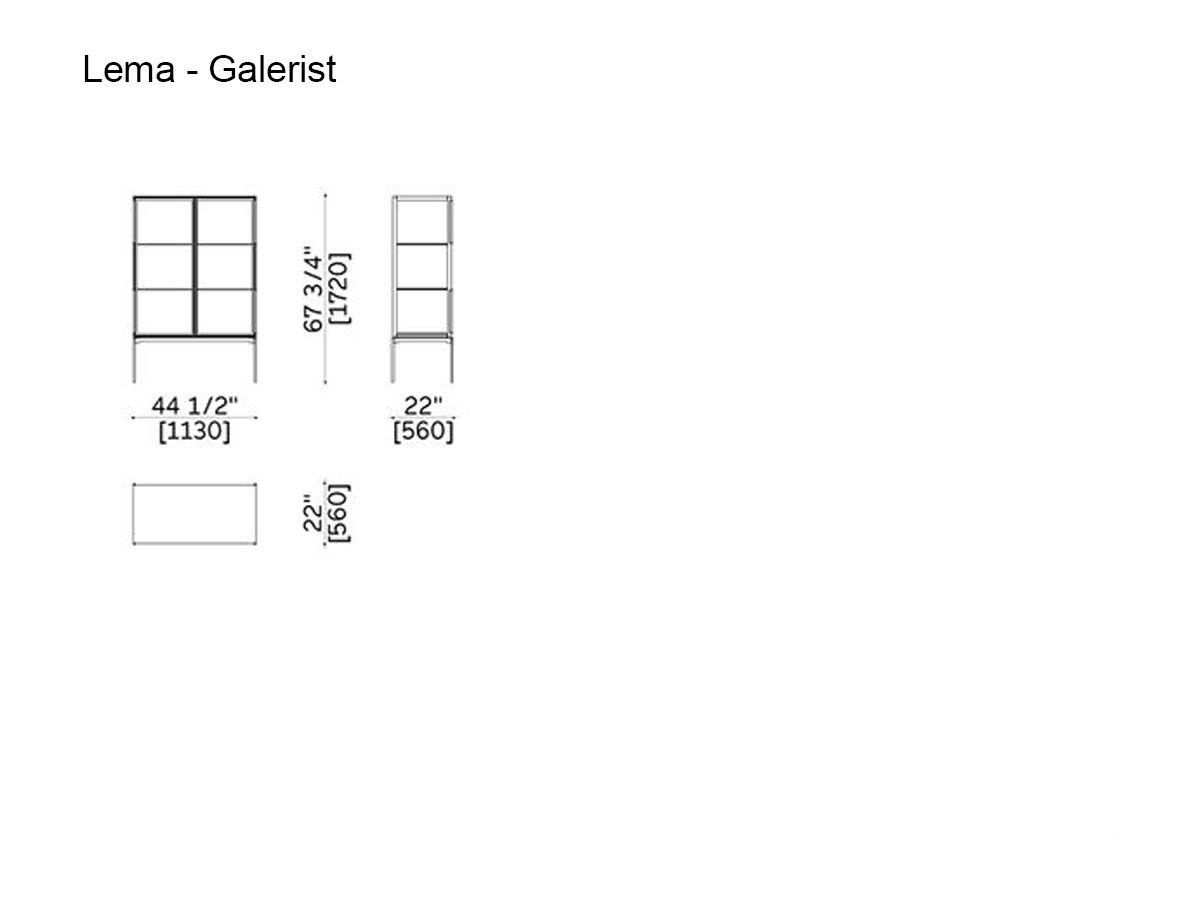 Lema Galerist Display Case