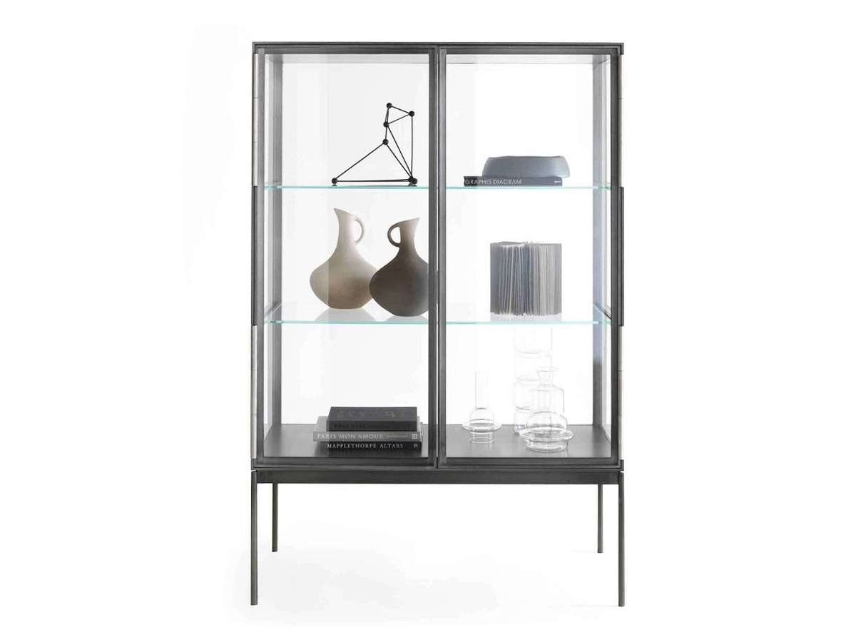 Lema Galerist Display Case