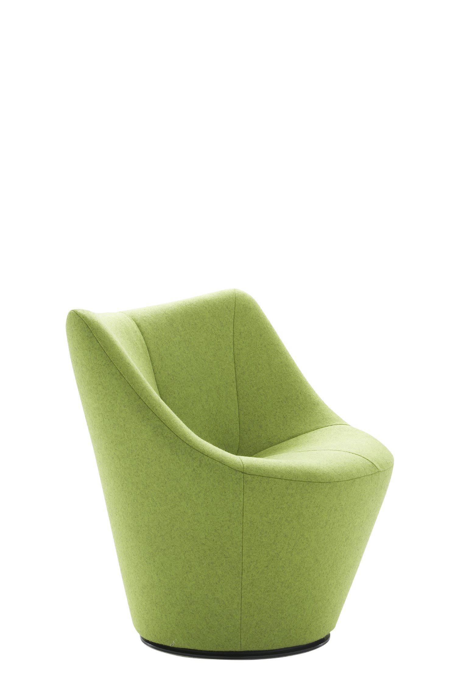 Ligne Roset Anda Armchair