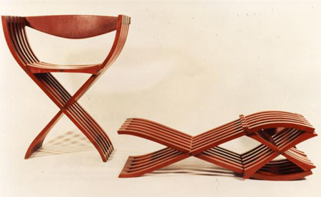Ligne Roset Curule Chair
