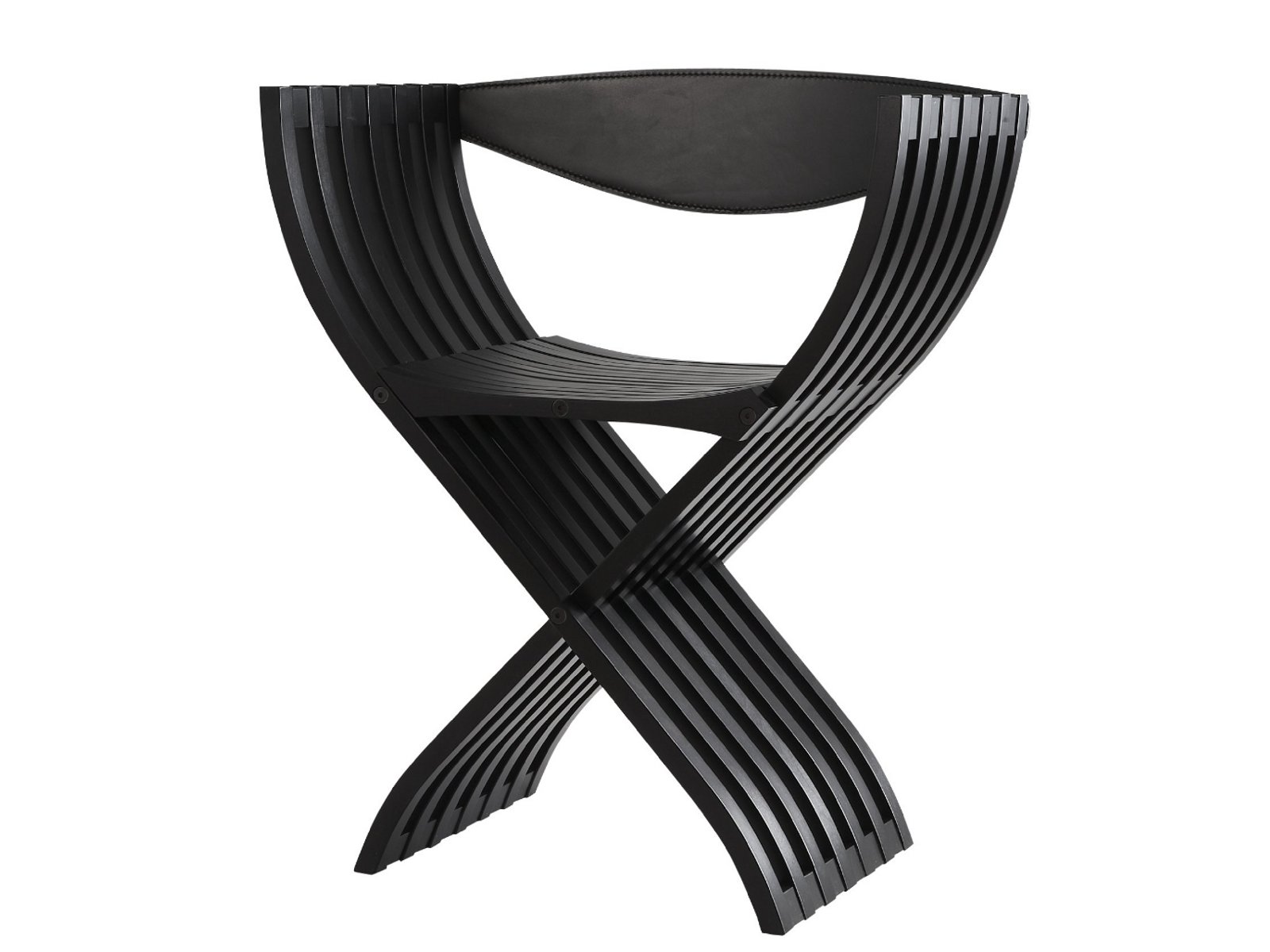 Ligne Roset Curule Chair