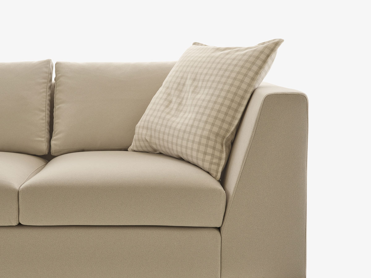 Ligne Roset Exclusive Sofa