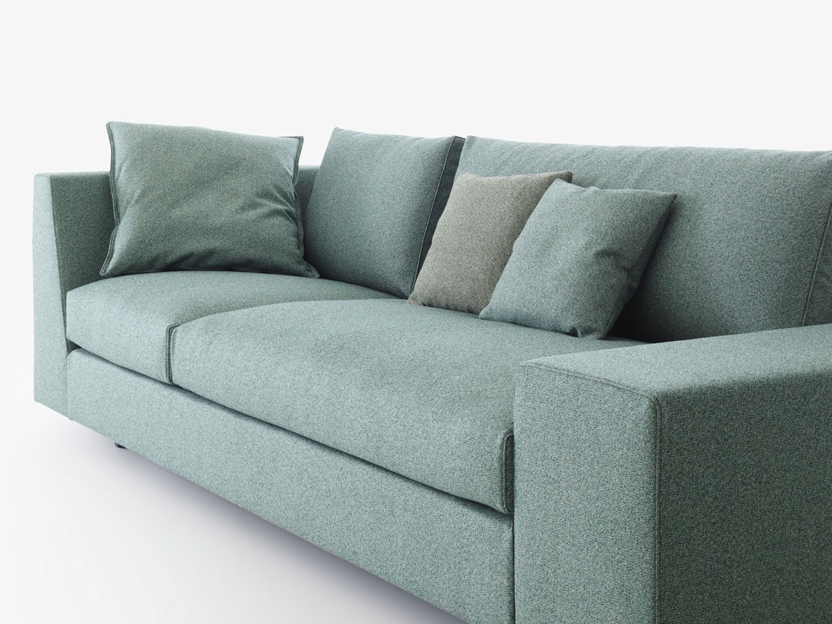Ligne Roset Exclusive Sofa