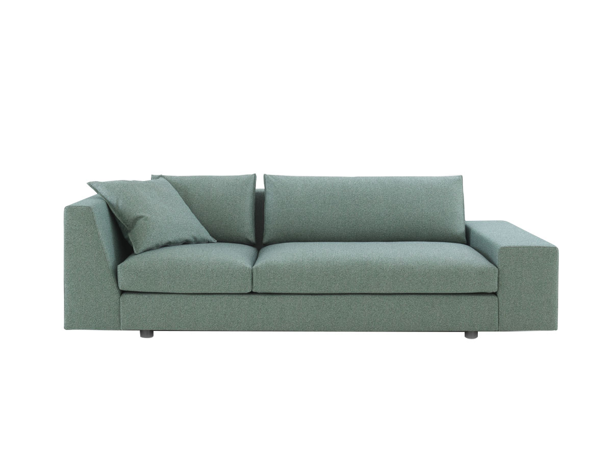 Ligne Roset Exclusive Sofa