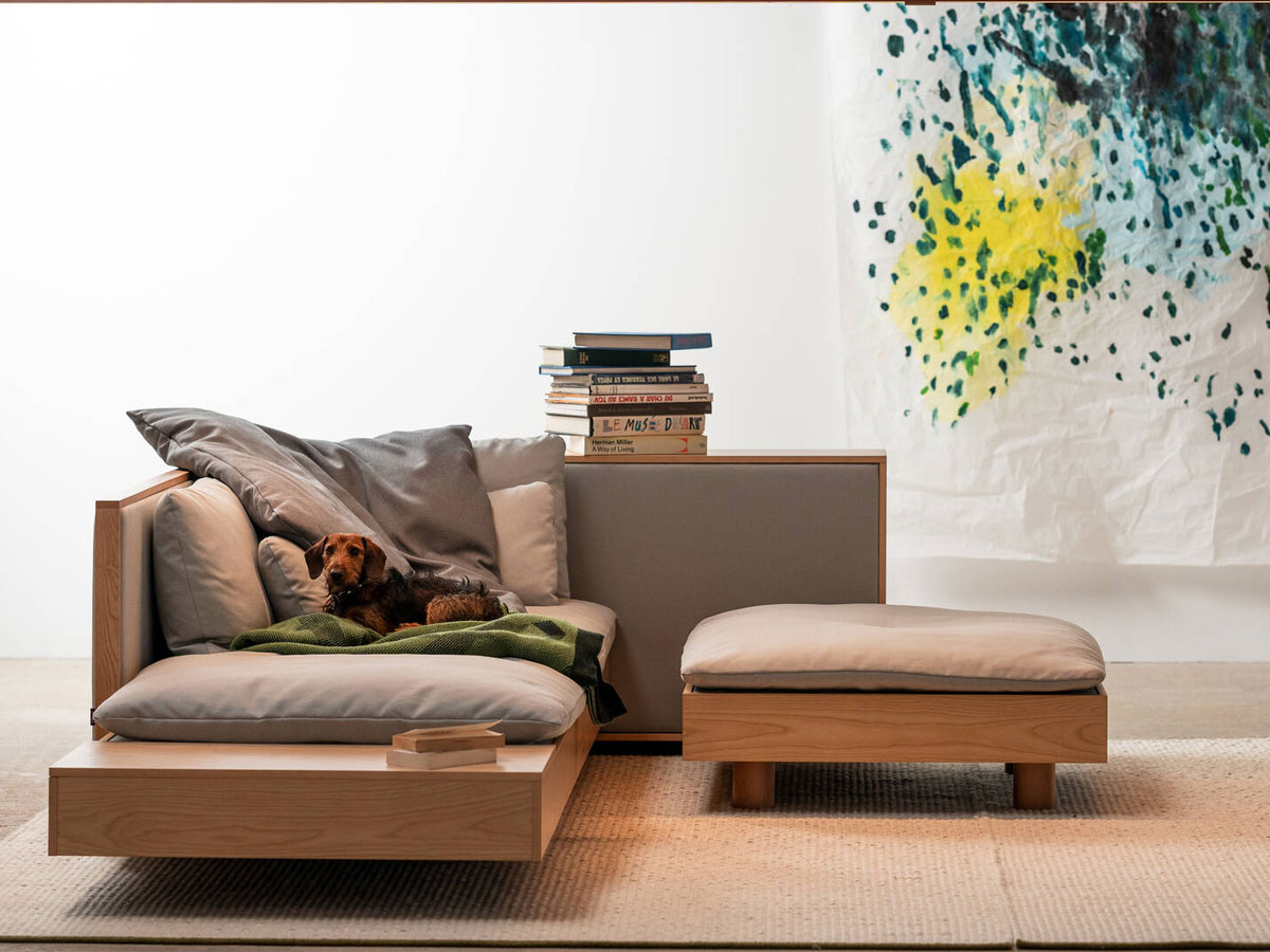 Ligne Roset Kobold Sofa Soft Composition L 226 Cm