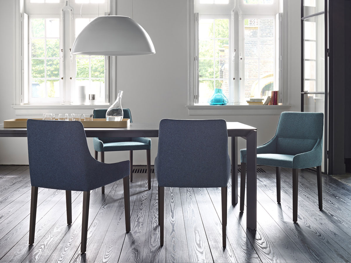 Ligne Roset Long Island Chair