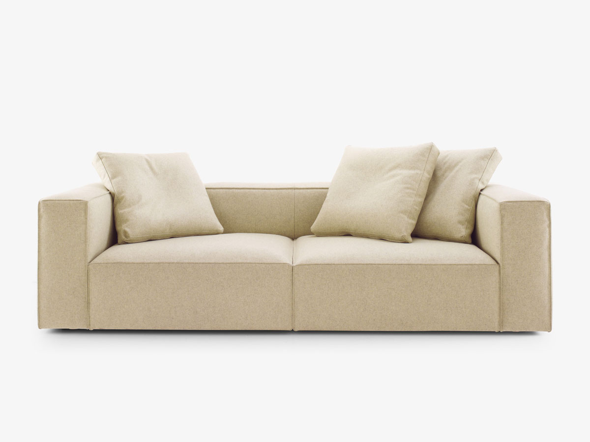Ligne Roset Nils Sofa Didier Gomez