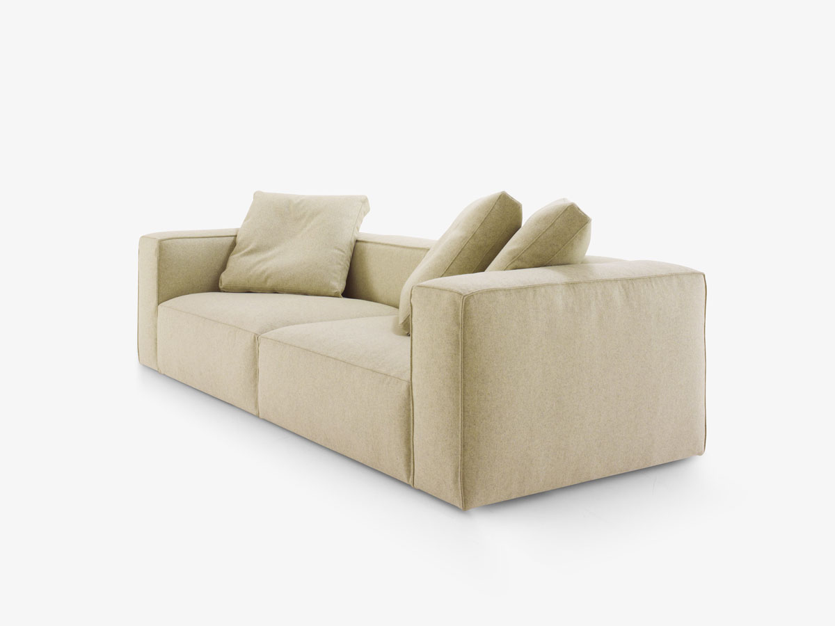 Ligne Roset Nils Sofa Didier Gomez