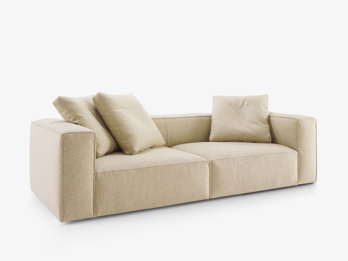 Ligne Roset Nils Sofa Didier Gomez