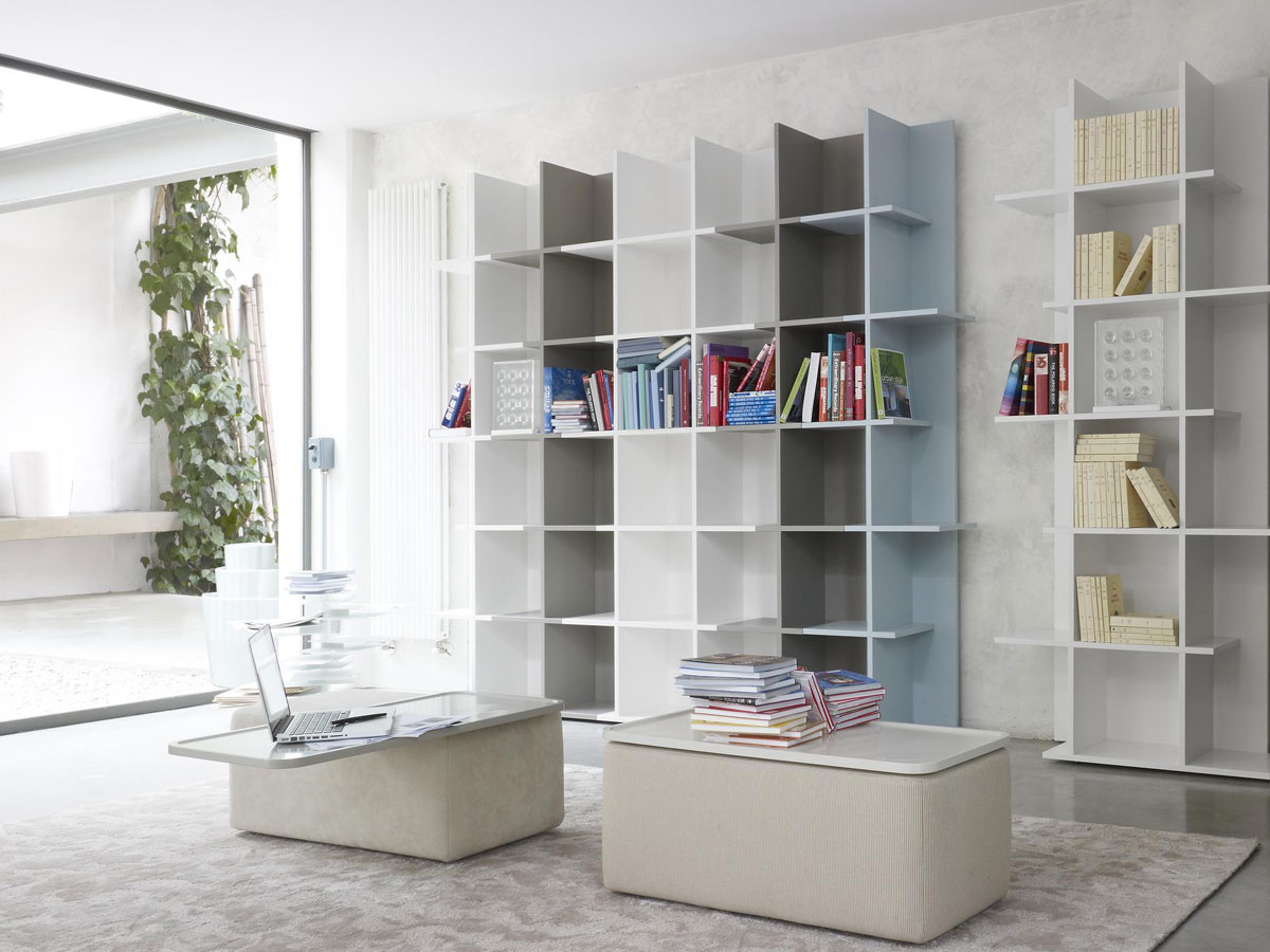 Ligne Roset Oka Double Bookshelf