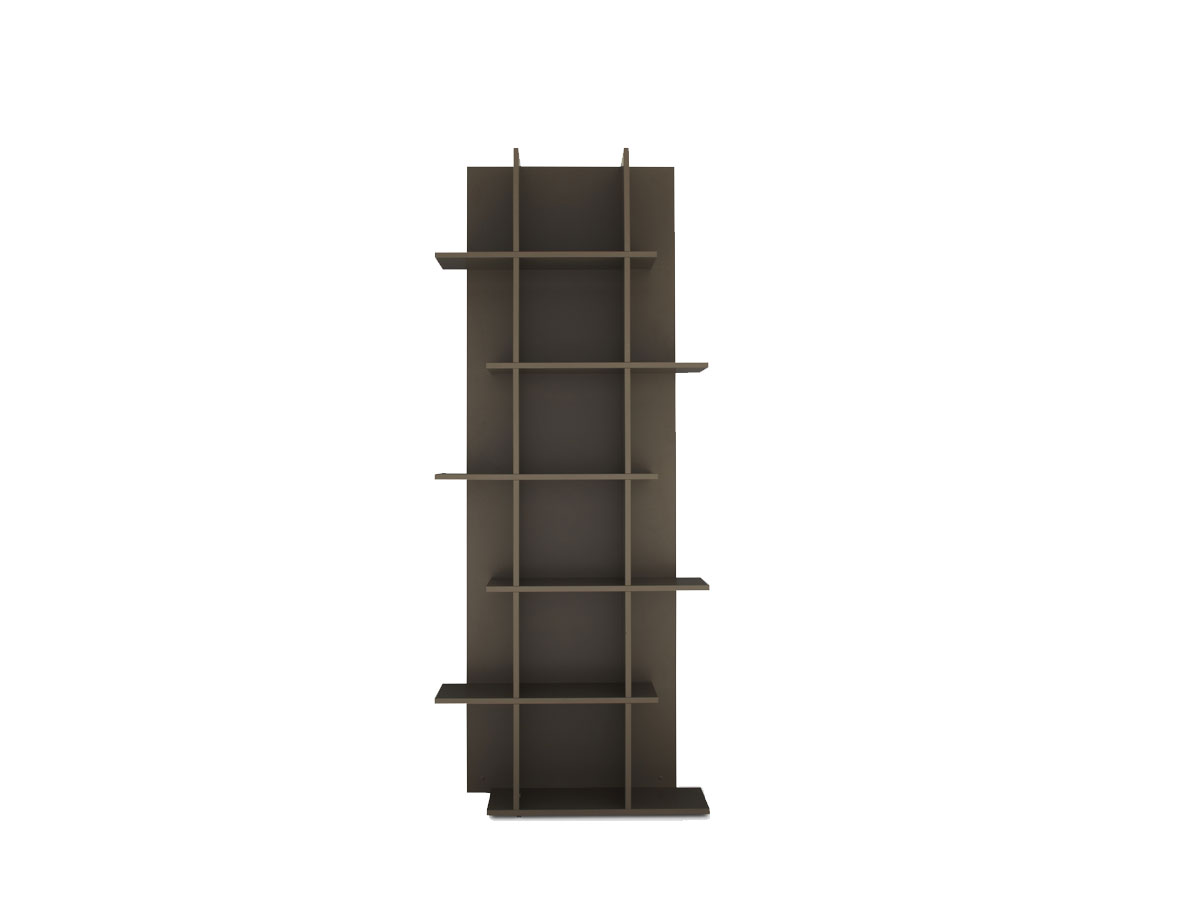 Ligne Roset Oka Double Bookshelf