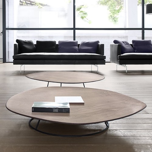 Ligne Roset Pebble Coffee Table Concavo