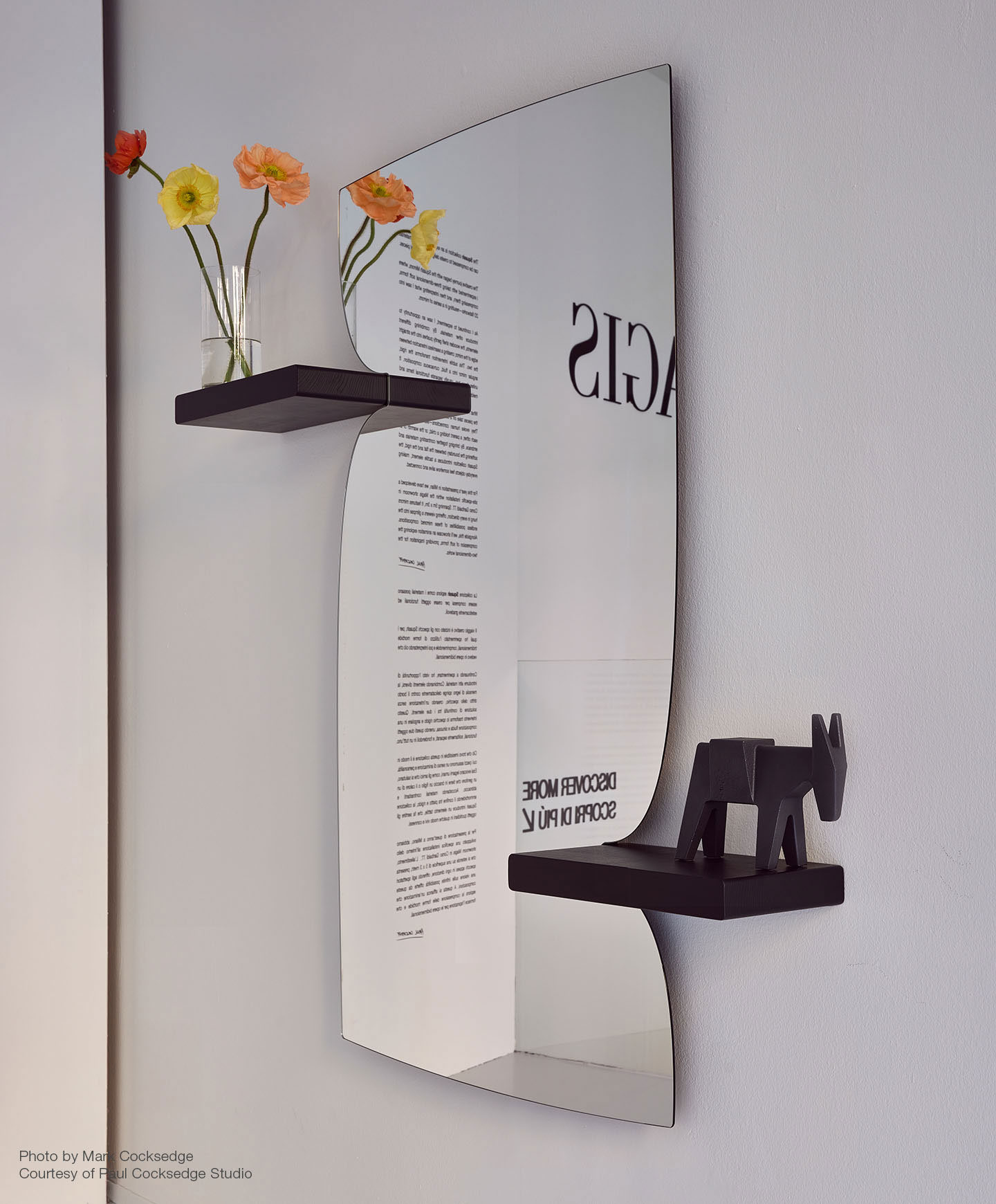 Magis Morphed Mirror With Two Shelves