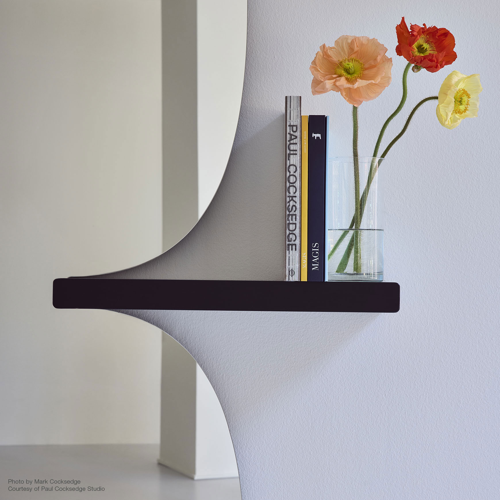 Magis Morphed Mirror With One Shelf