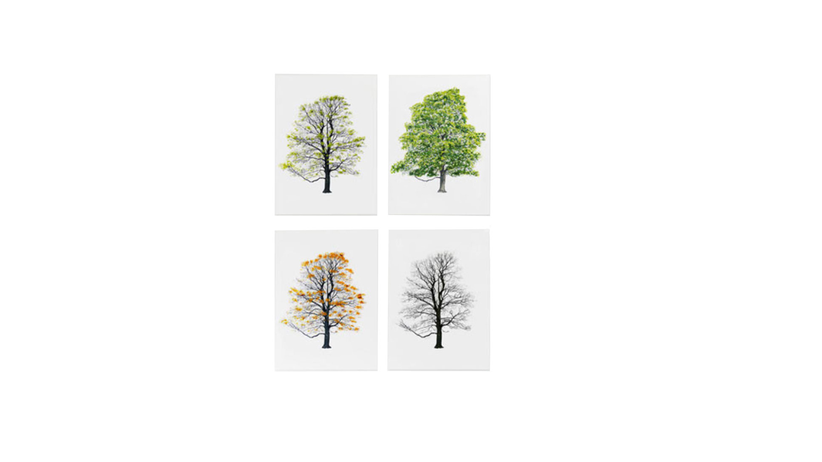 Миниатюра Magis Tree