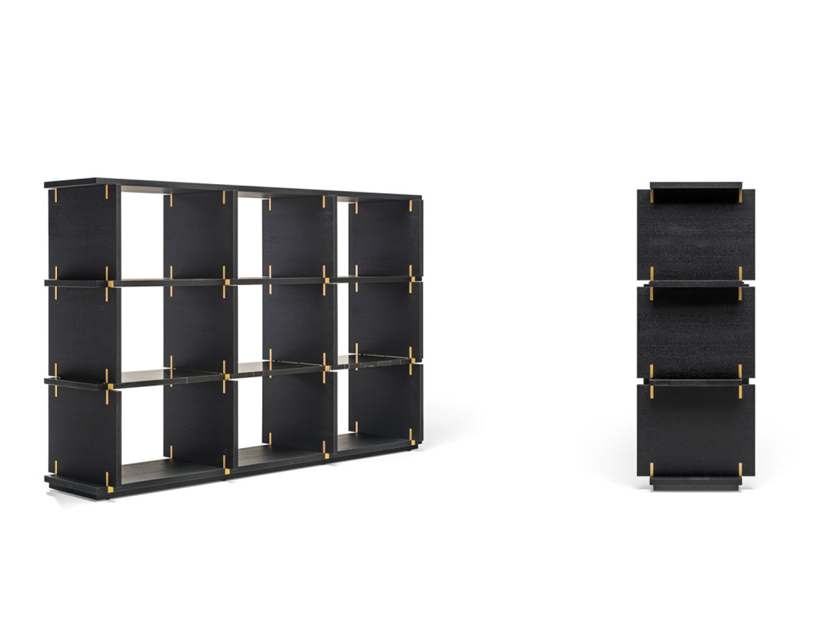 Molteni C Card Bookcase