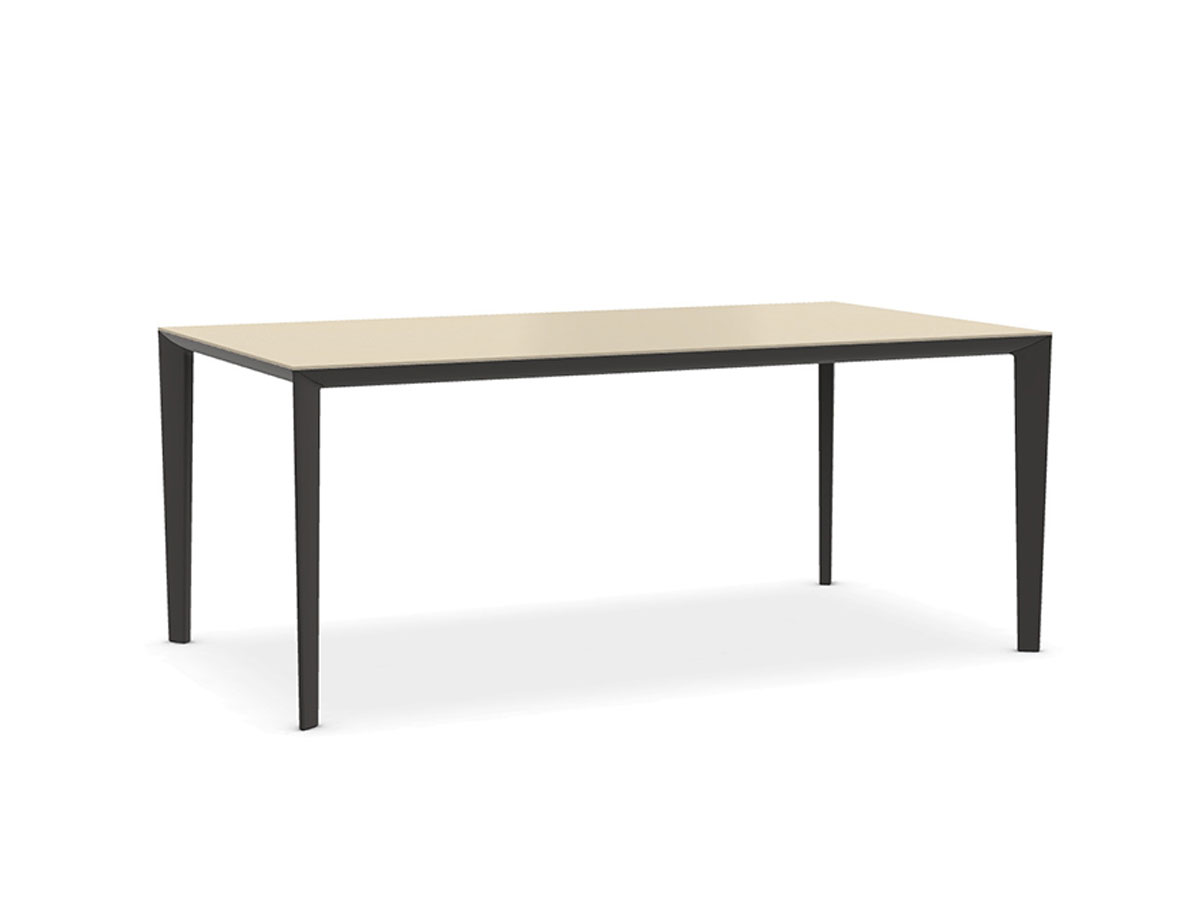 Molteni C Filigree Fixed Table With Glass Top