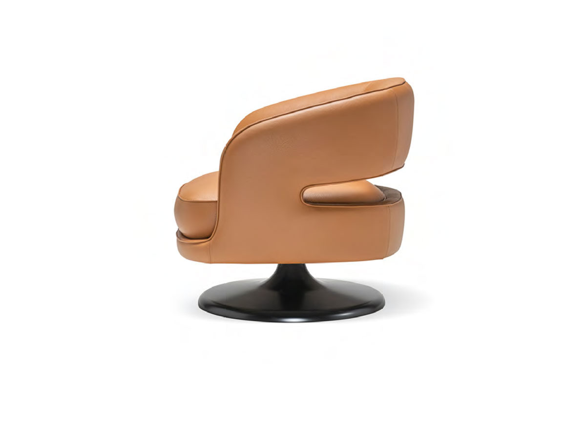 Molteni C Linea Armchair