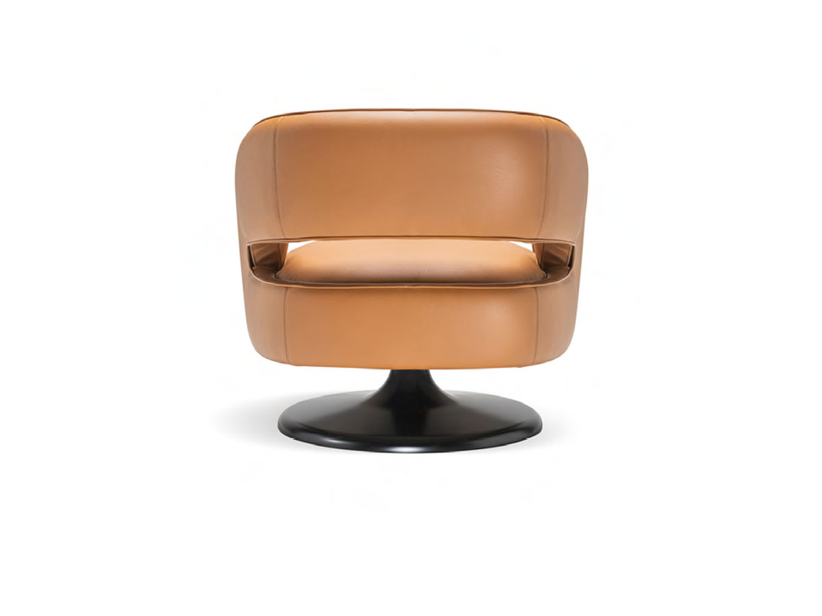 Molteni C Linea Armchair