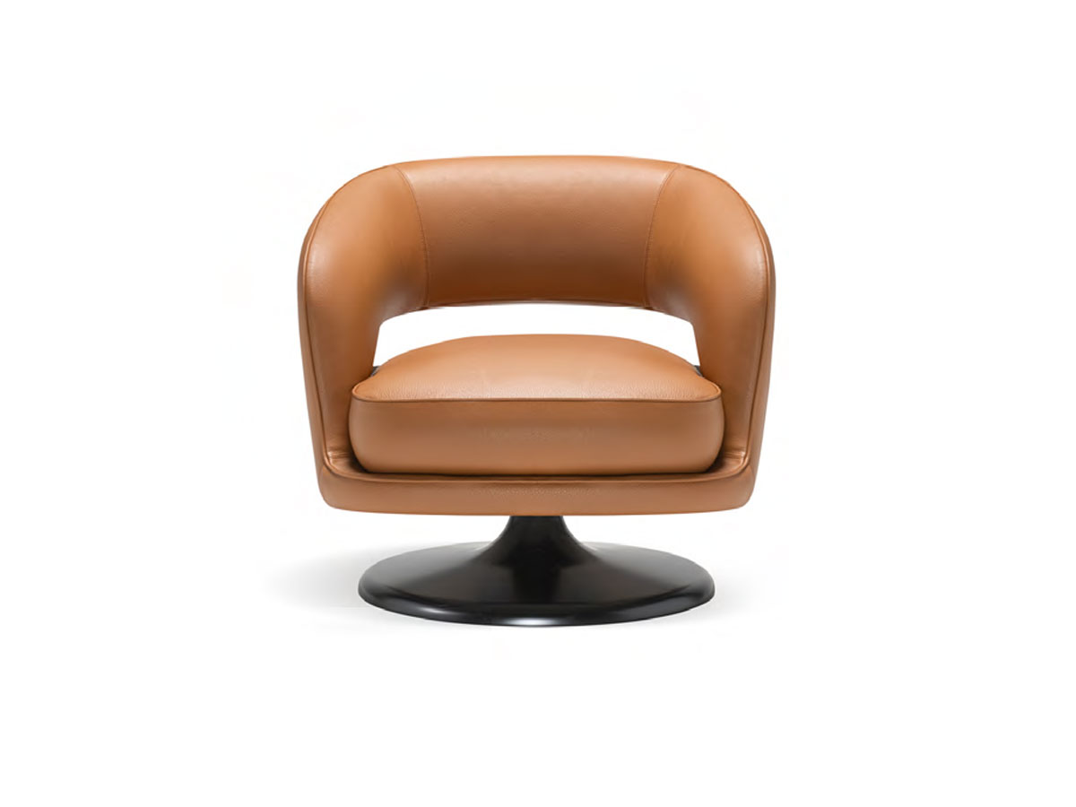 Molteni C Linea Armchair